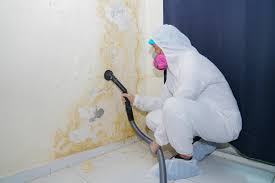 Best Real Estate Mold Inspection  in East St Louis, IL